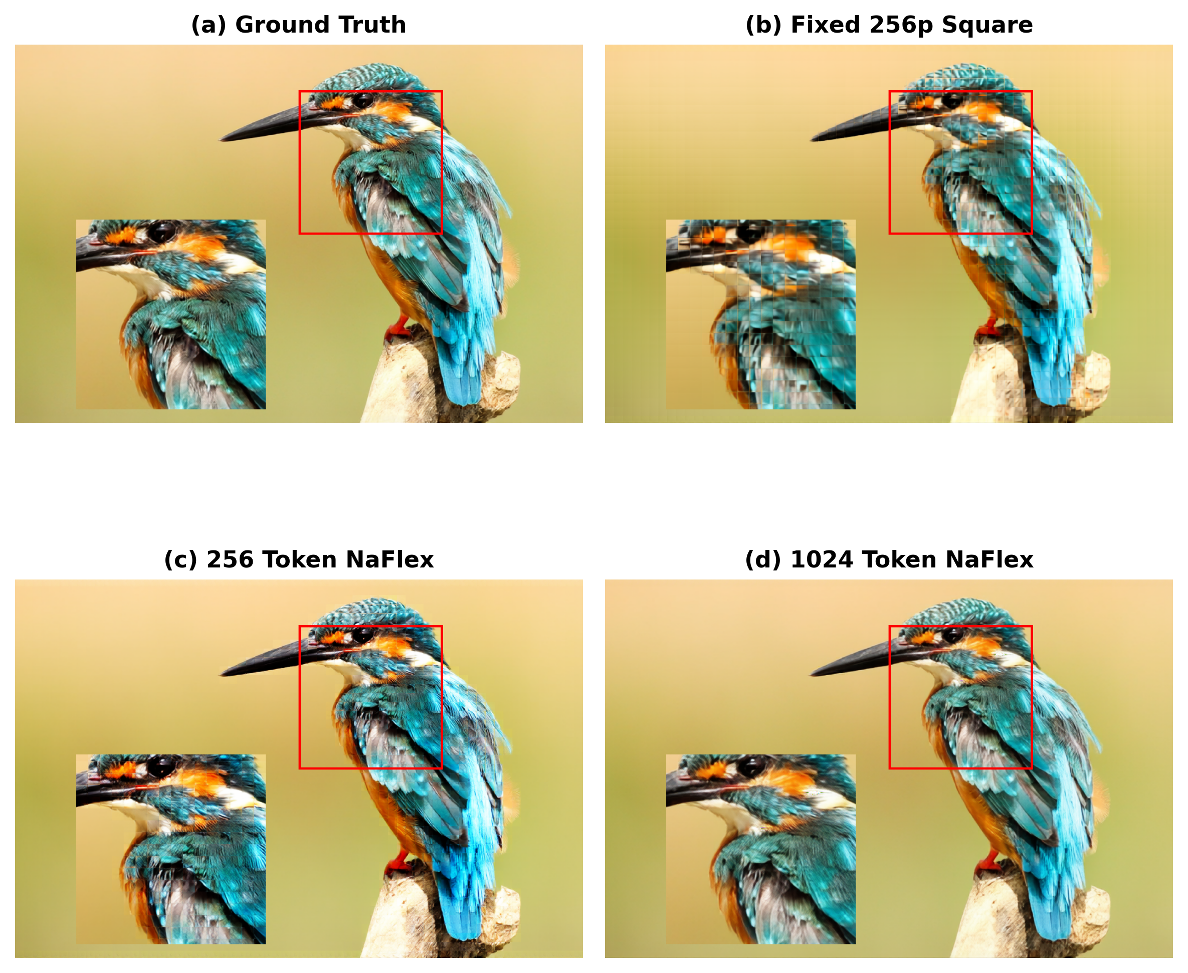 Patch boundary artifacts comparison: (a) ground truth, (b) fixed 256p square training, (c) 256 token NaFlex, (d) 1024 token NaFlex